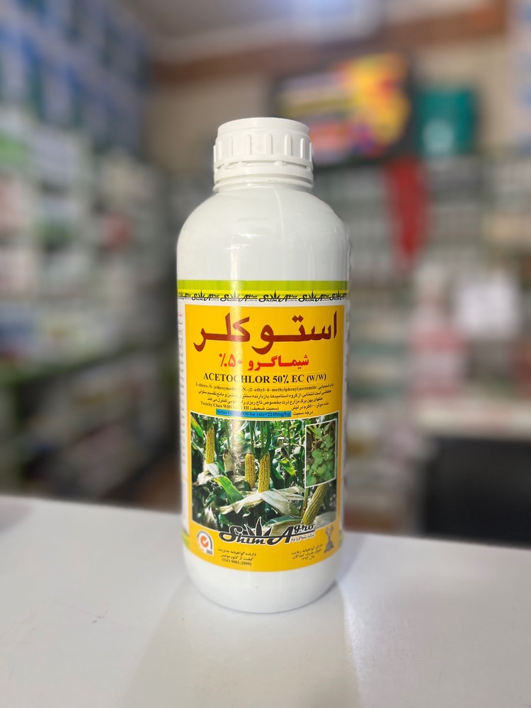 استوکلر شیماگرو