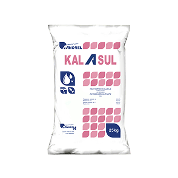 سولوپتاس کالاسول آنورل بلژیک